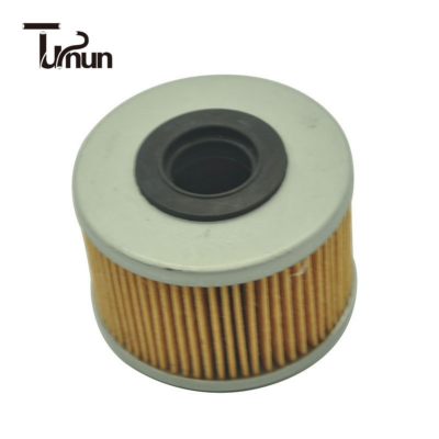 7701043620-Fuel-Filter (1)