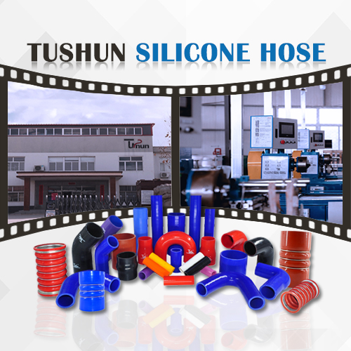 TUSHUN Silicone Hose