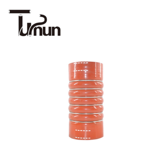 81963010590 European Truck Silicone Hose
