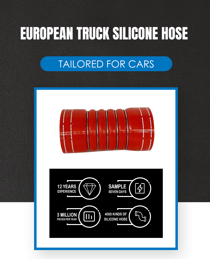 0010947982-0020945482-0020946382-0020941782-European-Truck-Silicone-Hose (3)