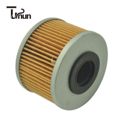 7701043620-Fuel-Filter (4)