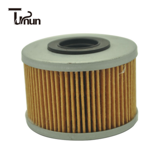 7701043620 Fuel Filter