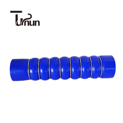 21184401 European Truck Silicone Hose