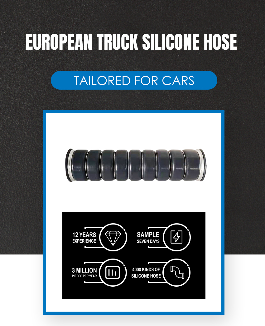 21312237-European-Truck-Silicone-Hose (4)