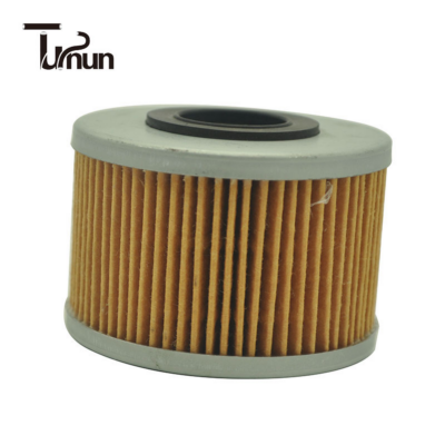 7701043620 Fuel Filter